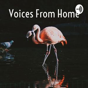 Voices From Home: The Banc Stulis Podcast