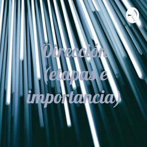 Dirección (etapas e importancia)