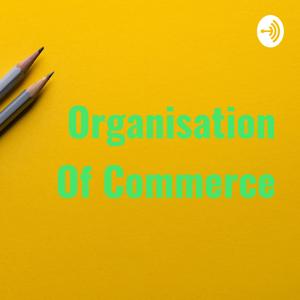 Organisation Of Commerce