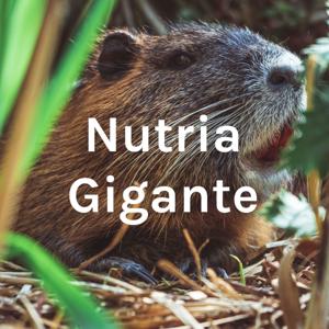 Nutria Gigante