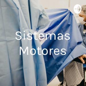 Sistemas Motores