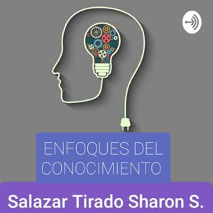 Enfoques Del Conocimiento De SHARON SALAZAR