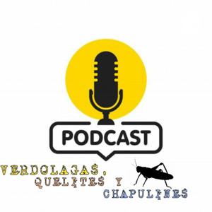 VERDOLAGAS, QUELITES Y CHAPULINES