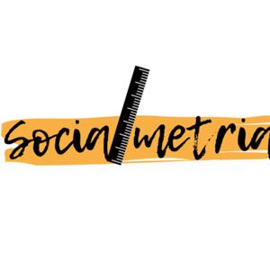 Socialmetria
