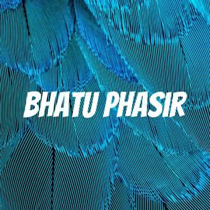 Bhatu Phasir