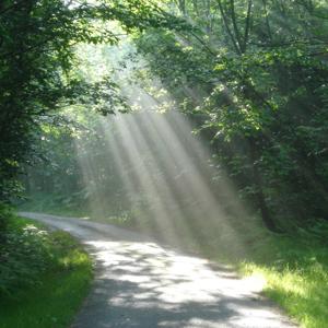 Le Chemin... J'ai rendez-vous avec moi