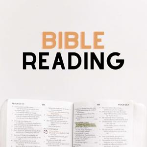 Bible Reading