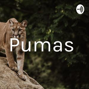 Pumas