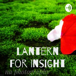 Lantern For Insight