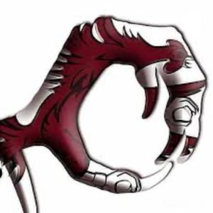 Feel The Spur Podcast