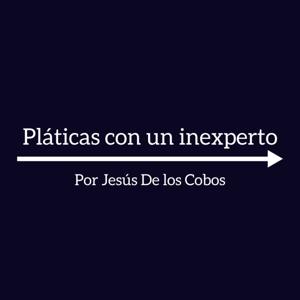 Pláticas con un inexperto