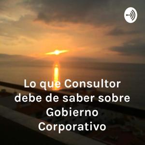 Lo que el Consultor debe de saber sobre Gobierno Corporativo