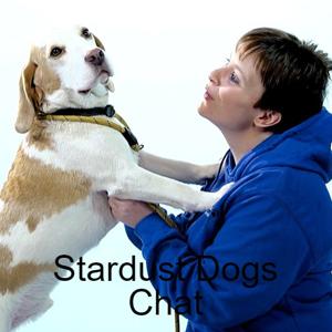 Stardust Dogs Chat