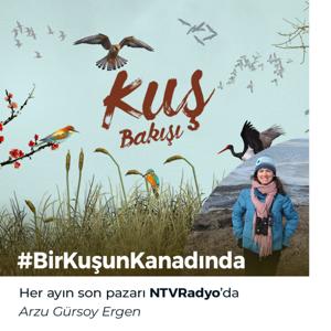 Kuş Bakışı by NTVRadyo