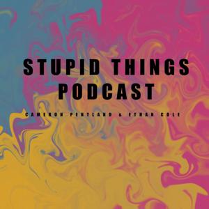 The Stupid Things Podcast