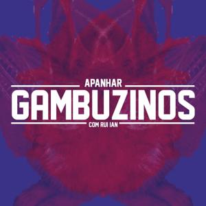 Apanhar Gambuzinos