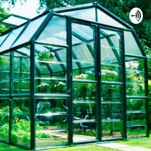 Reflections Inside The Greenhouse