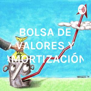 BOLSA DE VALORES Y AMORTIZACIÓN