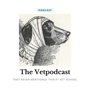 The Vetpodcast - they never mentioned this at vet school!