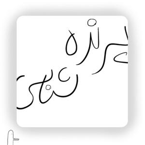 پرنده شناسی