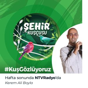 Şehir Kuşçusu by NTVRadyo