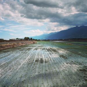 非典型商業知識