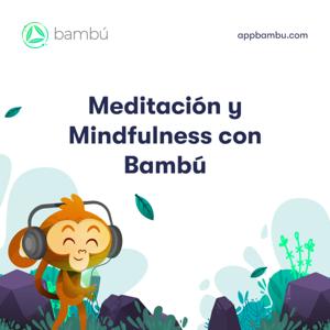 Meditación y Mindfulness con Bambú