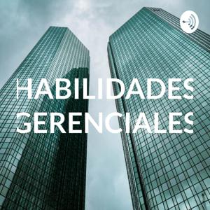 HABILIDADES GERENCIALES