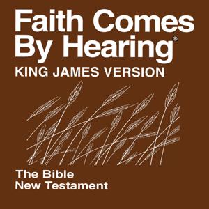 KJV Bible - NT (Non Drama)