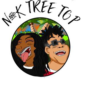 N&K Tree Top