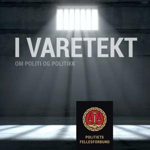 I varetekt - om politi og politikk by Politiets Fellesforbund