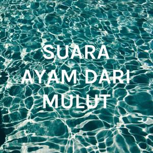 SUARA AYAM DARI MULUT