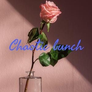 Chaotic bunch