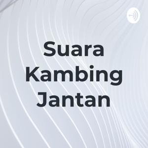 Suara Kambing Jantan