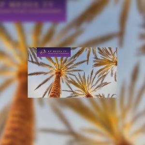 Indie Films and Shows