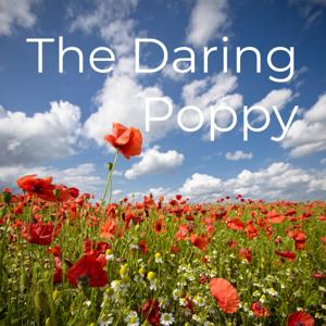 The Daring Poppy