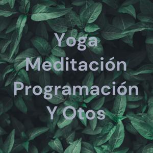 Yoga Meditación Programación Y Otros