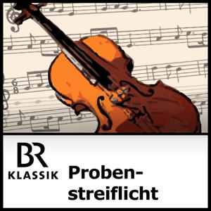 Probenstreiflicht