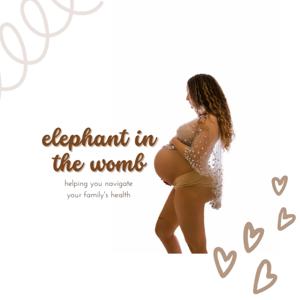 Elephant in the Womb