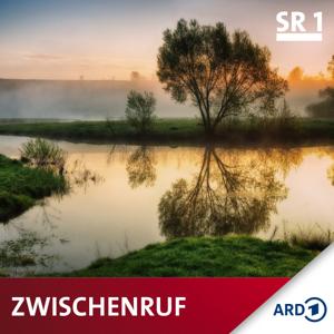 Zwischenruf by SR