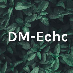 IDM-Echo