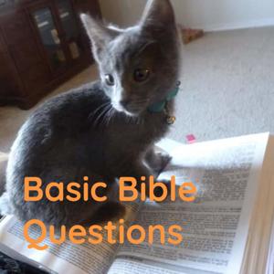 Basic Bible Questions - Answered!