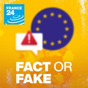 Fact or Fake by FRANCE 24 English