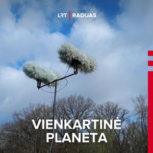 Vienkartinė planeta