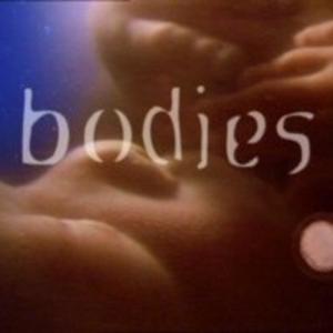 Bodies