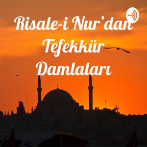 Risale-i Nur'dan Tefekkür Damlaları