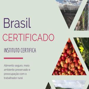 CERTIFICAÇÃO AGRÍCOLA