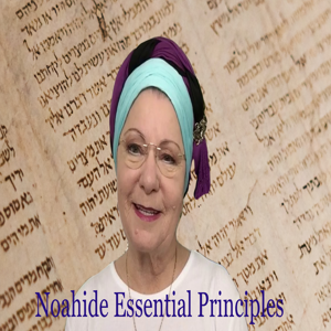 Noahide Essential Principles