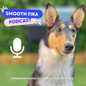 Smooth Fika Podcast