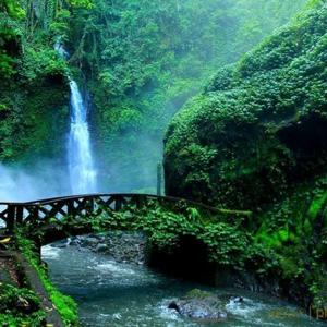 ===="Kata-kata Terang", "Kabar Baik untuk Semua Orang", "Nyanyian Kehidupan" di Indonesia Bahasa (Termasuk dialek dan Etnis Bahasa)/ "Words of Light", "Good News for All people", "Songs In Indonesia Language, (Including dialects and Ethnic Lamguages) ====